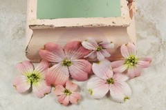 NEW Prima «Calcutta – Dogwood» 539566 Burlap Fabric Flowers with Stamens Centers