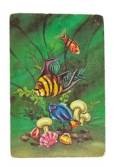 Vintage Tropical Fish Colorful US Playing Cards Junk Journal Scrapbook Collage