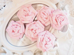SPECIAL Baby WHIMSY PINK 6 Pk Flowers PAPER 45-50mm Manor House ConB