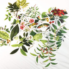 60Pcs Scrapbooking Stickers, DIY Decorative Green Plants Set Stickers for Lapto