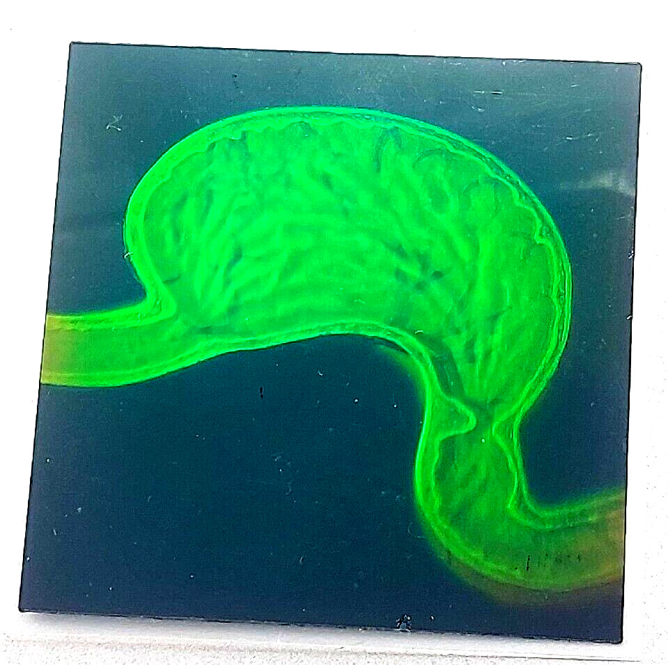 VTG Polaroid 3-D 90’s Holograms Prototypes – Dissected Human Stomach 3×3″