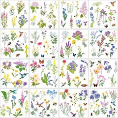 Nature Inspired Rub on Transfers – DIY Craft Supplies