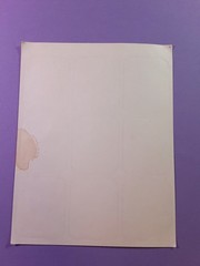 TCM dinosaurs sticker sheet *damaged*