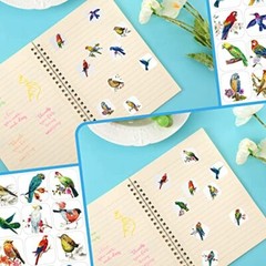 Hotop 600 Pcs Bird Stickers for Kids Bird Photos Stickers Animals Bird
