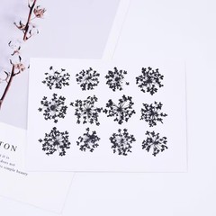 12PCS real Pressed Queen Anne’s Lace Flower dyed black for Halloween Craft FCD17