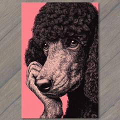 STICKER Pink Poodle Thinking Pose Curly Dog Pop Art Line Etching Retro Style