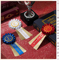 3 Pcs Award Ribbons 1St 2Nd 3Rd Place Rosette Ribbon Winner Prize Ribbons First