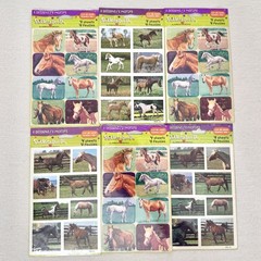 Vintage Stickety-Doo-Da Sticker Hallmark Horses Lot 6 Packs NEW