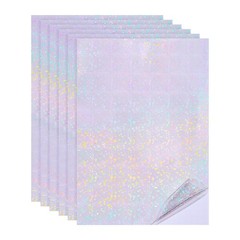 12x8in Holographic Laminate Sheets 6Pcs Sticker Paper Circle Pattern