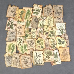 Vintage Retro Style Burnt Edge Plants & Butterfly Stickers – Set of 10 Stickers