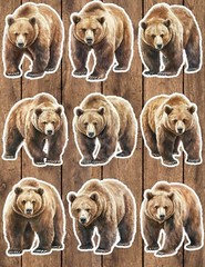 Brown Bear Die Cut Vinyl Stickers Set Scrapbooking Laptop WaterBottle