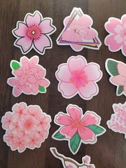 STICKERS x 10 Flowers Pink Cherry Blossom Orchid Tree Sticker CHE2