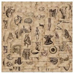 56pcs Human Anatomy & Physiology Vinyl Stickers Vintage Medical Student Notebook