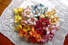 LILLY 7 Colour Mix 6 ea colour