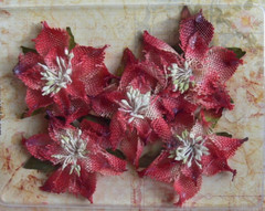 POINSETTIAS Textured Burlap RED x 5 flowers 50-60mm across Petaloo L4b