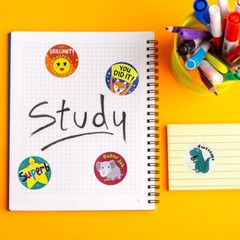 Wrapables 1 Inch Reward, Birthday, Thank You Stickers (1000pcs)​