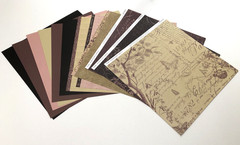 MY REFLECTIONS LA BELLE VIE Close to My Heart Paper Pack & Stickers 2 Stamp Sets