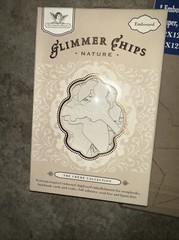 Misc Lot Of Scrapbooking Chipboard Pieces Look!