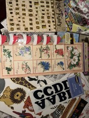 HUGE Lot of Words, Phrases Flowers Baby Safari Craft Stickers
