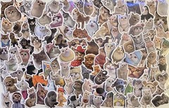 199 Funny Cat Stickers Cute Silly Costumes 1″-3″ Decals No Repeats See Both Pics