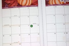 Small Important Icon Stickers, 468 Total, 0.3″ Diameter, 2 Sheets – Planner