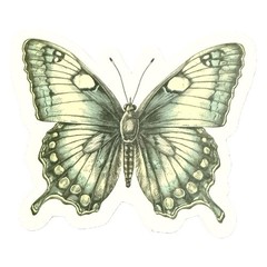 Vintage Butterfly Themed Waterproof Stickers Lot of 13