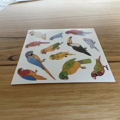 10 Sticker Sheets Unique Colourful Australian Birds Wildlife multicoloured