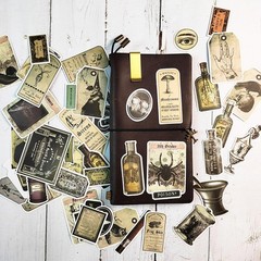 106 Pcs Potion Labels Stickers, Apothecary Sticker Dark Aesthetic Wine Bottle…