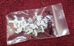 Karate Brads For Crafts, Scrapbooking-5 Black Belt, 1 Blue Belt, & 6 White Belt