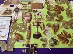 Anna Griffin Jack Die Cuts 30 Pieces New 2026