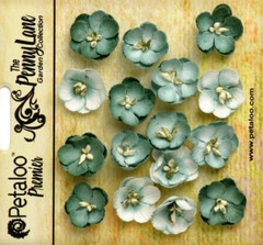 Forget Me Nots SEA GREEN 16 Paper Flowers 20mm across Penny Lane Petaloo XC