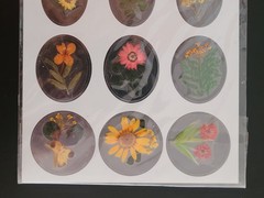 Vintage Victoria’s Spring Pressed Flower Stickers Sealed Pack 9 Real Flowers