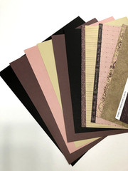 MY REFLECTIONS LA BELLE VIE Close to My Heart Paper Pack & Stickers 2 Stamp Sets