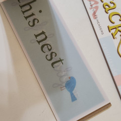 NEW Lot 3 DCWV Color Vellum Title Stacks FAMILY BABY GIRL BOY Headers 75 ct -G