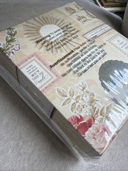 Anna Griffin Crown Sentiments & Embellishments – 113 3Dimensional Stickers AG886