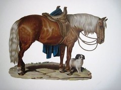 Large Vintage Die Cut of Horse w/ Side Saddle & Little Brown & White Dog *