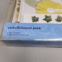 Chatter Box Embellishment Pack with 175 pieces Spruce & Olive NIB