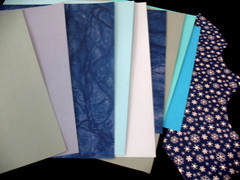 Lot Photo Mounting Paper, Tropical combo packs-a 10×12 and a Great Length