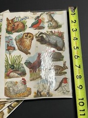 LOT OF 14 Full Sheets VTG MLP 1563 Animals Birds Die Cut Paper Scrap England