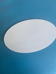 Vintage Oval Sayings Sticker Decal Prism “brat”