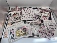 Scarlet Lime The Planner Society Chic Fashion Girl Dark Floral Mega Lot Mixed