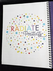 2026/27 Teacher Planner, Border, Jumbo Post-its, Hall Pass, Stickers and more!!