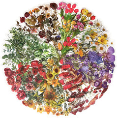 Nature Floral Plant Stickers Set – 320 Pieces Transparent Pressed Flower Decals