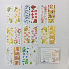 Creative Memories Months In Bloom – 16 Studio Strips