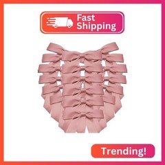 LEEQE Dusty Rose Satin Mini Ribbon Bow 4.5 Inch Twist Tie Mini Bows for DIY,Craf