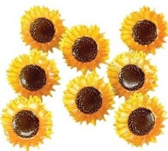 Sunflowers, Decorative Scrapbook Brads – Eyelet Outlet #B127