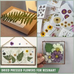 204 Pcs Dried Pressed Flowers for Resin Crafts, Real Purple Pink 204pcs