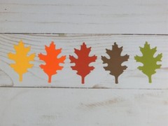 100 OAK LEAVES, Punchies/Die Cuts, Fall/Autumn, 20 Each of 5 different Colors