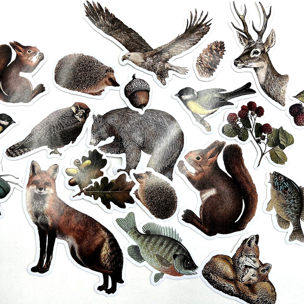 Forest Animal Stickers Nature Bear Squirrel Fox Scrapbooking *SEE DESCRIPTION*