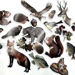Forest Animal Stickers Nature Bear Squirrel Fox Scrapbooking *SEE DESCRIPTION*